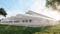 do 3d, 2d of master plan and site plan rendering