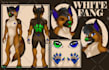 create a refsheet for your furry oc