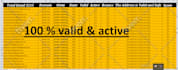 provide niche targeted email list building