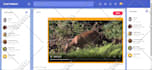 do professional website development