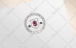 create company brand style guides, company profile  design
