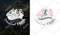 design a professional and custom logo for your brand
