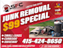 design junk removal flyers