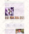 convert xd to HTML, PSD to HTML, figma to HTML responsive design