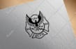 do a logo design