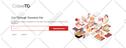 design and develop a responsive wordpress website design