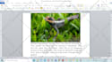write unique SEO optimized article for you