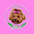 do stunning dogs cats pets mascots logo