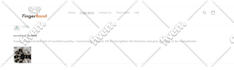 do shopify product listing upload with ai model image SEO
