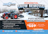 design canva flyer, postcard, social media  posts, brochure