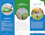 create an attractive bifold or trifold brochure design