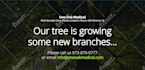 restore your website from wayback machine and make it live