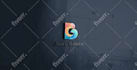 design a professional custom logo with unlimited revisions and source fills