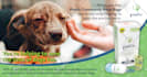 design social media ads