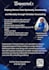 design professional flyer design within 5 hours