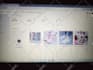 setup,manage and optimize your pinterest ad campaigns