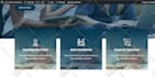 design responsive divi theme, divi builder wordpress website