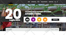 design, develop and clone wordpress websites by elementor pro