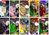 create unique 10k nft collection
