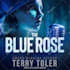 design professional audiobook  acx  cover