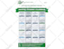 make professional infographics for your business