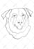 draw a minimalist pet remembrance line art from photo