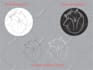 design patch, logo design, badge, sticker, label