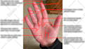 give you a psychic palm reading in 24 hours
