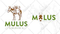 design your companys vision