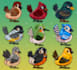 draw custom animal cartoon illustration