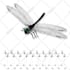 design professional amazon listing images and a plus content