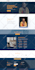 design and develop a professional custom wordpress website