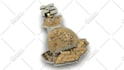 do 3d jewelry design and rendering for printing