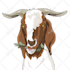 draw a cartoon animal for you