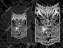 draw dark art illustration for cover album, t shirt, sticker