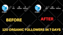 do super fast organic instagram growth