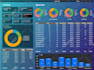 create a stunning google data studio or looker studio dashboard for you