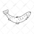 draw doodle with handdrawn style