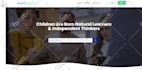 build you a professional and responsive wordpress website