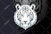 draw cute cartoon mascot design and animal logo