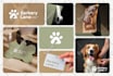 design a custom business logo, brand identity kit, and brand guidelines