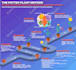 do creative infographic design and amazon infographics
