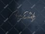 design luxury signature and handwritten business logo