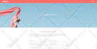 design and build a professional shopify website