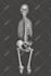create medical 3d model from dicom, ct or mri images
