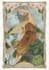 do illustrations in art nouveau style