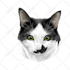 draw minimalist realistic pet vector art