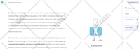 do SEO article writing and blog post writing