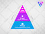 design professional infographic in canva, photoshop, illustrator