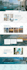 create wordpress website, develop custom wordpress, business website development
